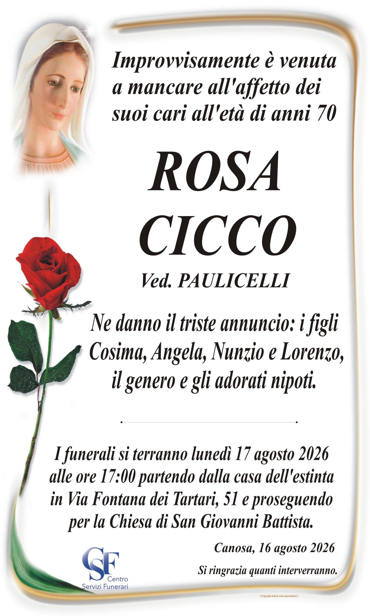 Cicco Rosa